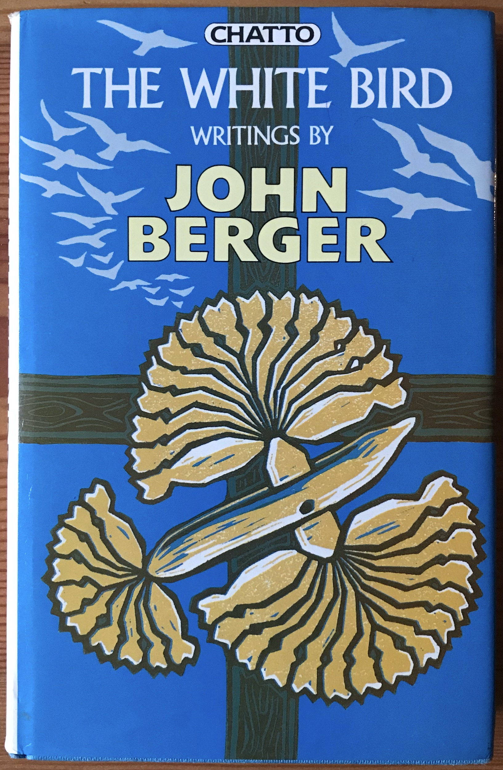 John Berger 1985 The White Bird - The Sense of Sight - 1st edition
