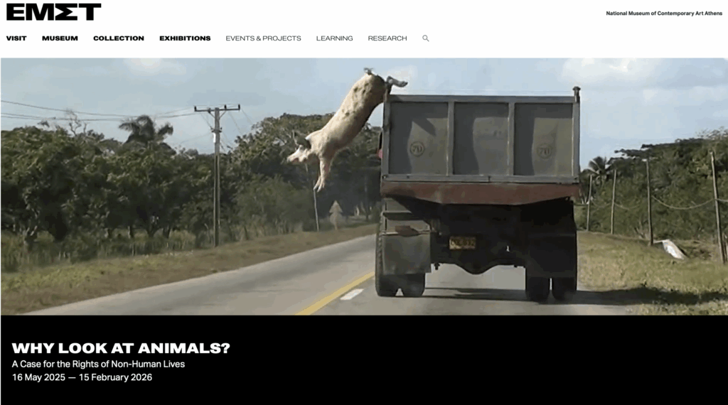 Athens Exhibition: Why Look at Animals?