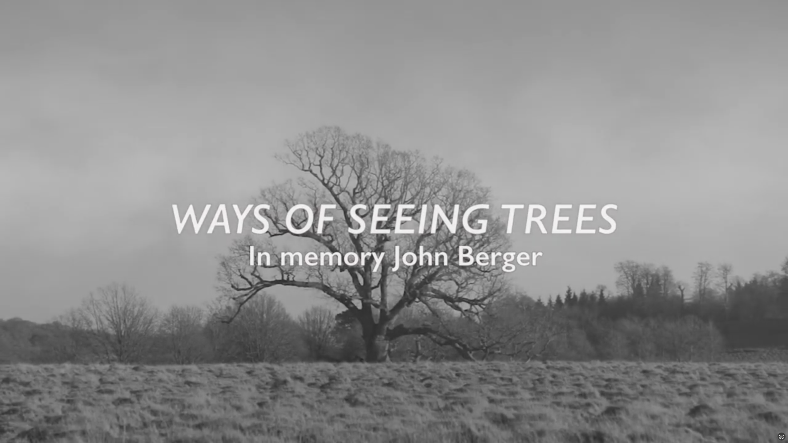 20250924 Ways of Seeing Trees © Naomi Foyle